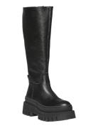 Steve Madden Chipp Svart