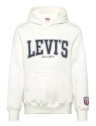 Levi's Po-Pull-Over Hoody Vit