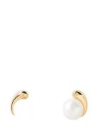 PD Paola Pdpaola La Perla Stud Earrings Guld