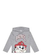 Paw Patrol Tshirt Grå