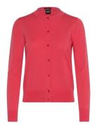 BOSS Fadenasi Korall