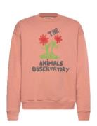 THE ANIMALS OBSERVATORY Flowers Dusty  Bear Sweatshirt Korall